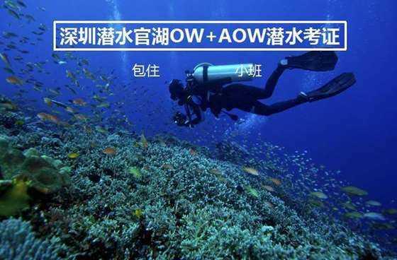 燃烧吧大脑装瓶子游戏